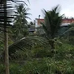 Bán đất gần cầu gạch 2 QL57B đường vào 300m - Ảnh thu nhỏ 4