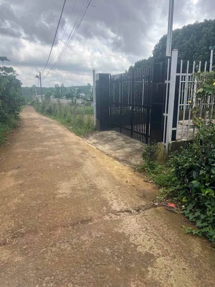 Bán lô đất 100m2 thổ cư Bảo Lâm 530 triệu - Ảnh 1