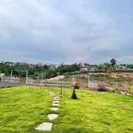 Bán 2.7 sào nhà vườn hẻm Y Moan, Cần Giờ, 3.5 tỷ - Ảnh thu nhỏ 2
