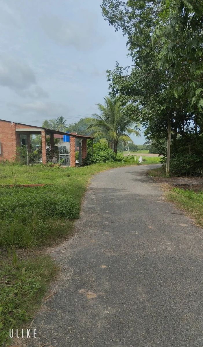 Bán đất Thành Long Châu Thành Tây Ninh 5,7 x 18m (102,6 m²), 340 triệu - Ảnh thu nhỏ 2