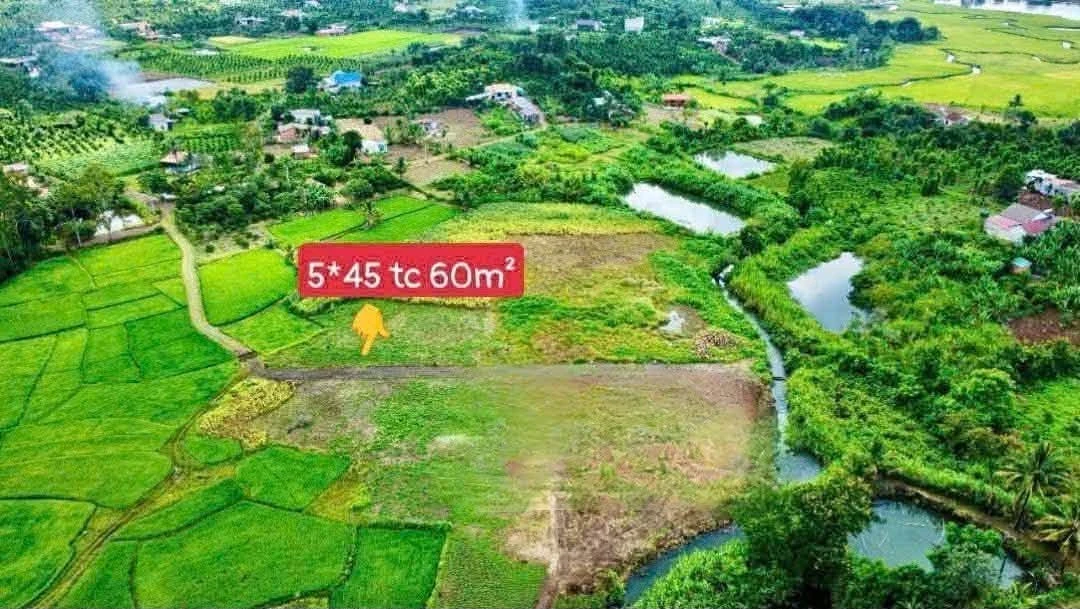 Bán lô đất thổ cư 60m² Đắk Lắk giá 120 triệu - Ảnh thu nhỏ 2