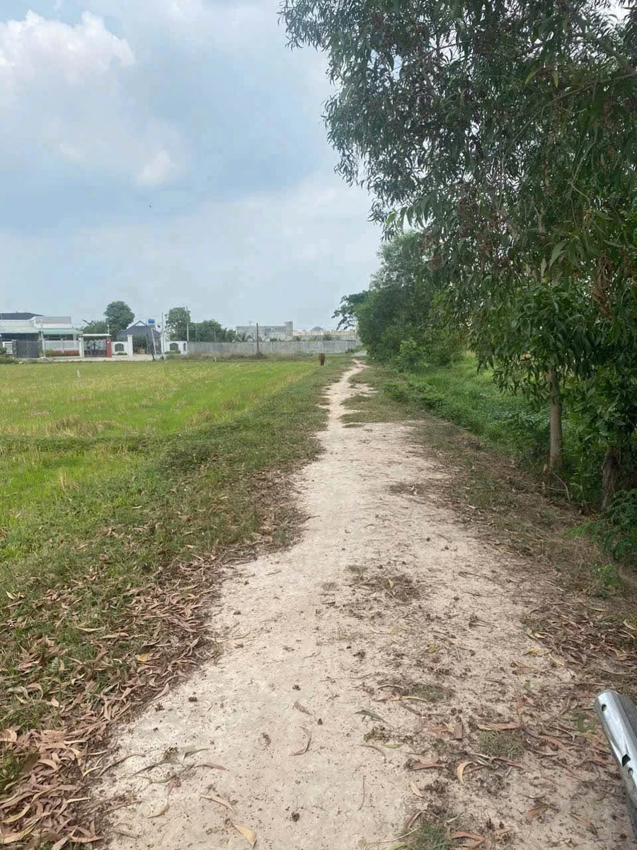 Bán lô đất thổ cư 5x25m Đức Hòa Thượng Long An - Ảnh thu nhỏ 3