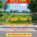 Bán lô đất mặt tiền Lục Viên 551.5m2, Long An - Ảnh thu nhỏ 1