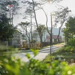 Hoa hậu đơn lập phân khu Valley Park hơn 400m2 sẵn nhà bàn giao ngay chỉ việc về ở - Ảnh thu nhỏ 4