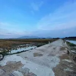 Bán đất Lúa Diên Sơn 1000m2 giá 169 triệu - Ảnh thu nhỏ 4
