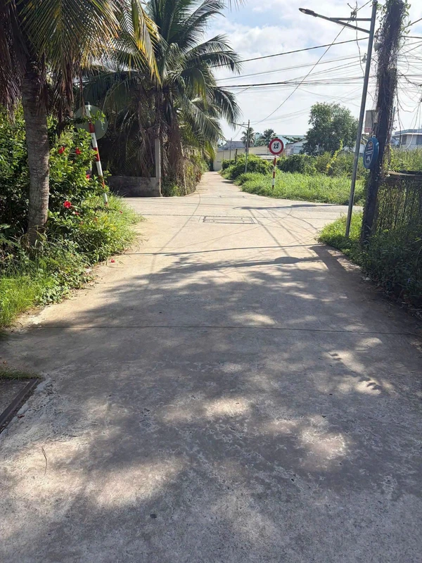 Bán đất 110m² tặng nhà cấp bốn Sơn Đông Bến Tre