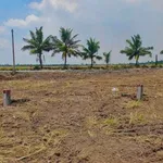 Bán đất nền 100m² Kinh 5 Thạnh Lộc 190 triệu - Ảnh thu nhỏ 2