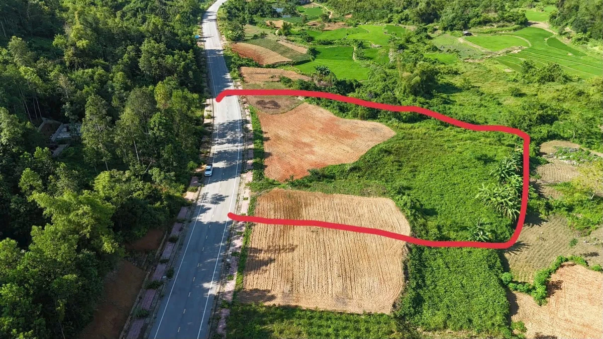 Bán đất vườn 6.200m² mặt tiền 55m Bắc Kạn - Ảnh 1
