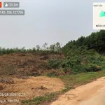 Chỉ 2tỷ500tr sở hữu 5011m2 trong đó 400m2 là thổ cư mua được ở đâu. Bán nhanh mới có giá đó-LH SĐT - Ảnh thu nhỏ 4