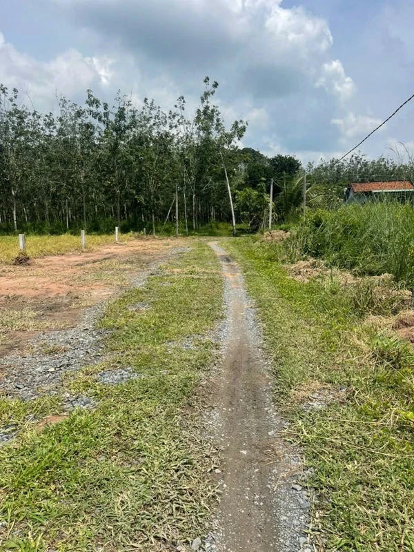 Đất thổ cư 100m2 Thạnh Đức, Tây Ninh, 190 triệu