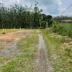 Đất thổ cư 100m2 Thạnh Đức, Tây Ninh, 190 triệu - Ảnh thu nhỏ 1