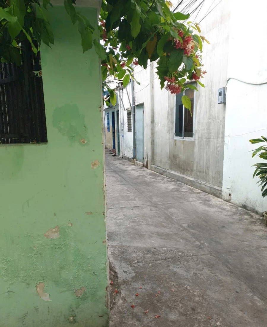 Bán nhà cấp 4 đường Ba Cu, Vũng Tàu, 67m2, giá 4,2 tỷ - Ảnh thu nhỏ 3