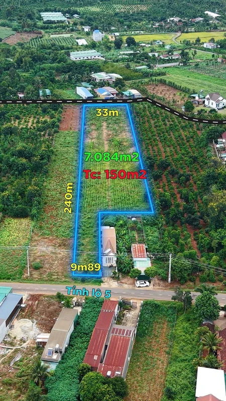 Bán đất 2 mặt tiền 7050m² Tỉnh lộ 5 Đắk Lắk 6.8 tỷ