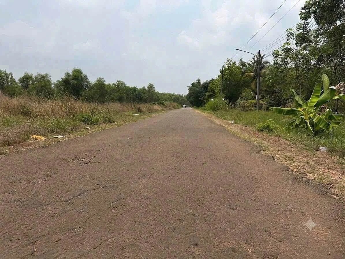 Bán đất Dầu Tiếng, Bình Dương 100m2, giá 4 tỷ - Ảnh thu nhỏ 4