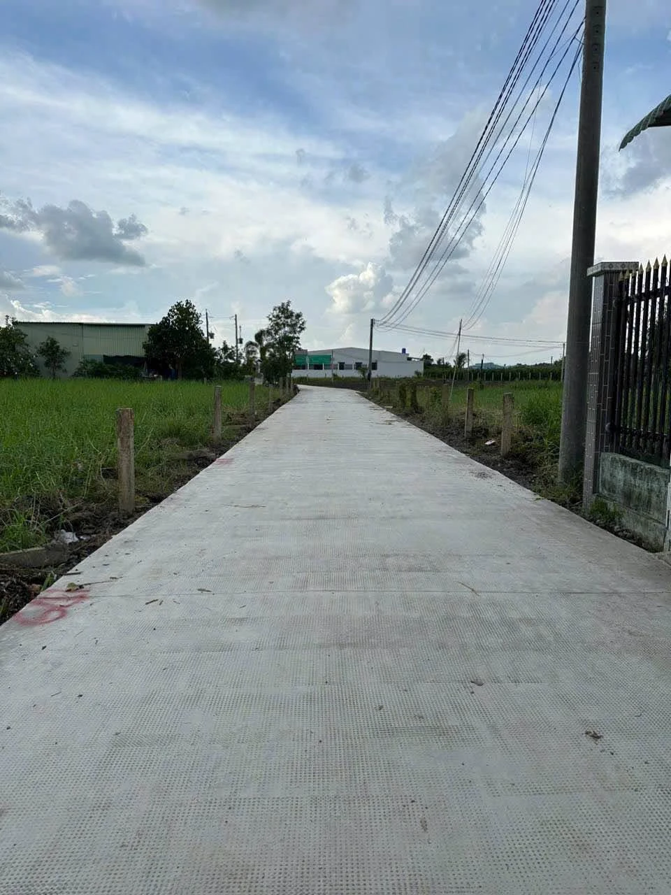 Bán đất thổ cư 5x24m giá 395 triệu/lô tại xã Tầm Vu, Tây Ninh - Ảnh 1