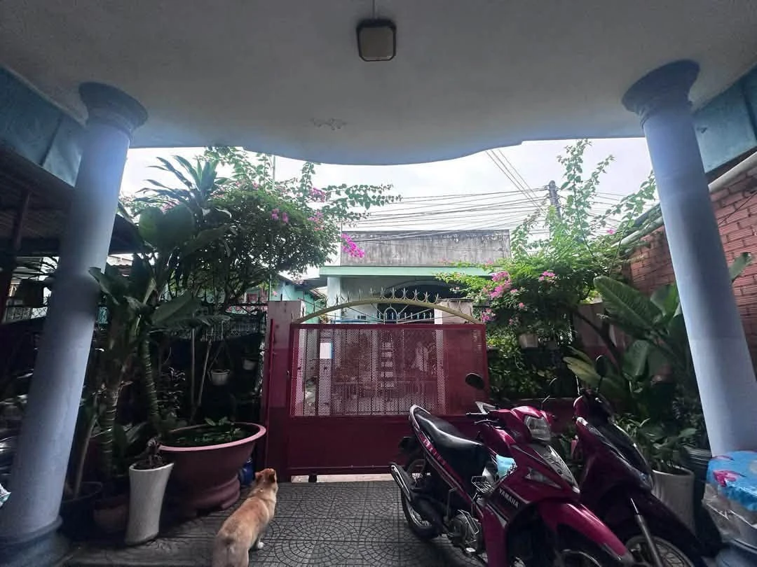 Bán nhà cấp 4 kiên cố 8x14m gần sân banh Gò Đậu, Phường Phú Thọ, giá 2,25 tỷ - Ảnh thu nhỏ 2
