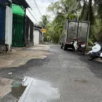 Bán nền đất 6m x 56m (336m²) Tú Điền, Bến Tre, 990 triệu - Ảnh thu nhỏ 3
