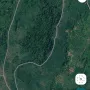 20 000 000m2 (2000 ha) rừng sản xuất theo dự án cây lâm nghiệp, dược liệu kết hợp du lịch sinh thái - Ảnh thu nhỏ 6