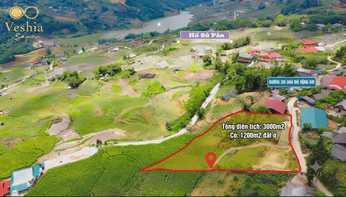 Bán đất tại Tả Van - Sapa, 3000 m2 có sẵn 1200 m2 thổ cư, mặt tiền 40m chỉ 16.5 tỷ - Ảnh 1