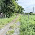 Bán đất thổ cư Xa Phan Tây Ninh 150m² giá 220 triệu - Ảnh thu nhỏ 4