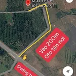 Bán đất cà phê 6.200m² Hòa Khánh, Buôn Ma Thuột - Ảnh thu nhỏ 4