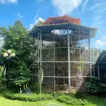 Bán nhà vườn Phú Mỹ 707m² 10,5 tỷ Bình Dương - Ảnh thu nhỏ 3