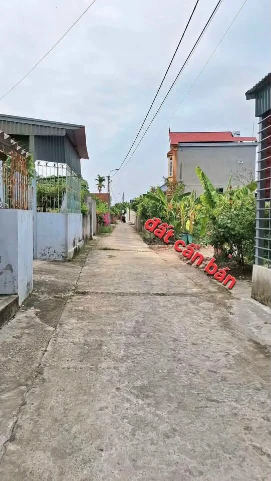 Bán lô đất thổ cư 73m² Thượng Hồng Bình Giang Hải Dương - Ảnh 1