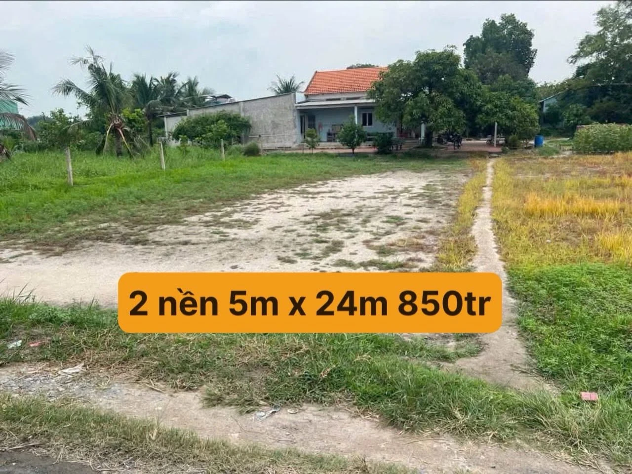 Bán đất nền thổ cư 5x24m (120m2) giá 850 triệu tại thị trấn Đức Hòa, Long An - Ảnh 1