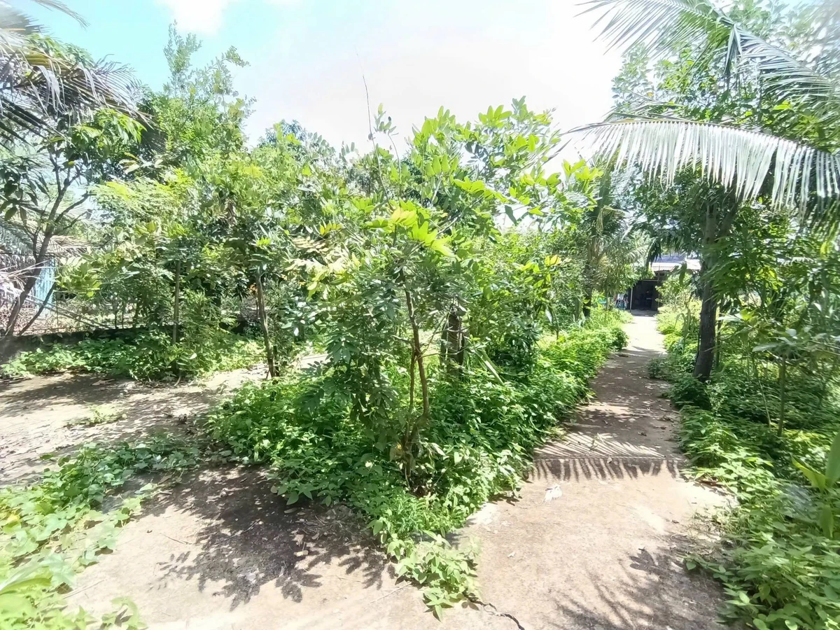 Bán nhà vườn Cần Giờ 681m² mặt tiền Nguyễn Công Bảo, 13,6 tỷ - Ảnh thu nhỏ 5