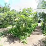 Bán nhà vườn Cần Giờ 681m² mặt tiền Nguyễn Công Bảo, 13,6 tỷ - Ảnh thu nhỏ 5
