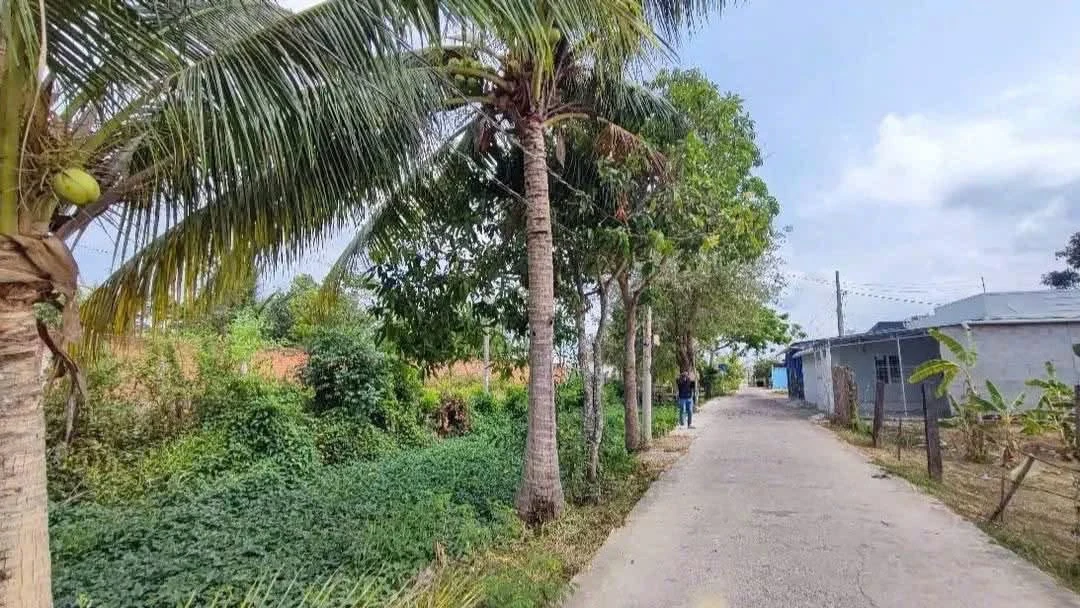 Bán đất nền 170m2 mặt tiền Phong Nẫm, Phan Thiết 1,29 tỷ - Ảnh 1
