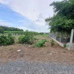 Bán đất thổ cư 5x65m Phước Thạnh Tây Ninh 330 triệu - Ảnh thu nhỏ 4
