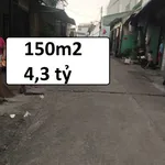 Bán lô đất 150m² Lê Văn Tách, Linh Xuân, Thủ Đức 4,3 tỷ - Ảnh thu nhỏ 1