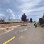 Bán lô đất 481m2 Phú Hội 1.5 tỷ - Ảnh thu nhỏ 5