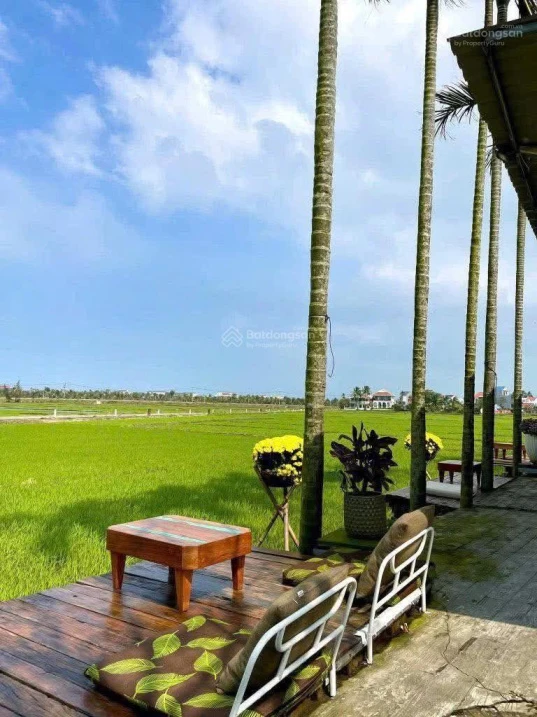 Hàng hiếm, view lúa mặt tiền Lê Thánh Tông, đất nở hậu, vị trí đẹp trong khu vực