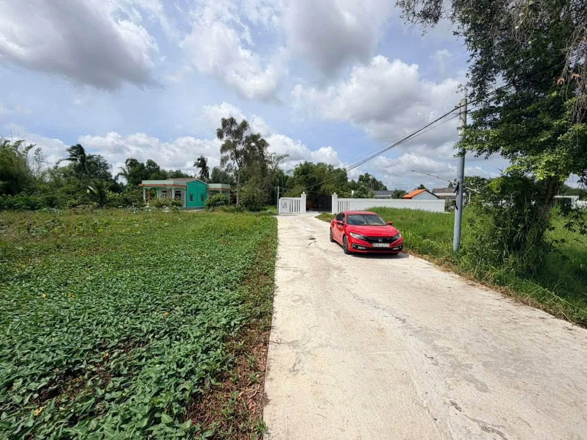 Bán đất ruộng 800m² xây nhà vườn Tân Trụ 1,1 tỷ - Ảnh thu nhỏ 3