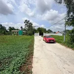 Bán đất ruộng 800m² xây nhà vườn Tân Trụ 1,1 tỷ - Ảnh thu nhỏ 3