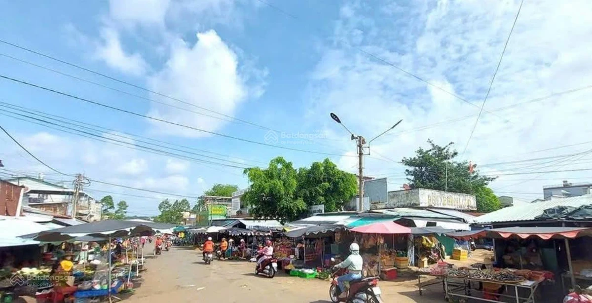 Bán gấp 1029m2 đất MT đường thông KCN đang HĐ sát chợ, thông QL13 tiện xây trọ. Giá 380tr - Ảnh thu nhỏ 5