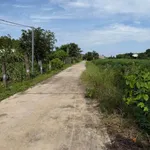 Bán đất 1000m² Xuân Thành Cần Giờ - Ảnh thu nhỏ 2