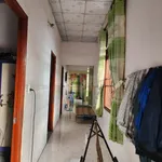 Bán nhà cấp 4 522m2 sổ riêng 300m2 thổ cư giá 2,7 tỷ tại Trảng Bom, Đồng Nai - Ảnh thu nhỏ 3