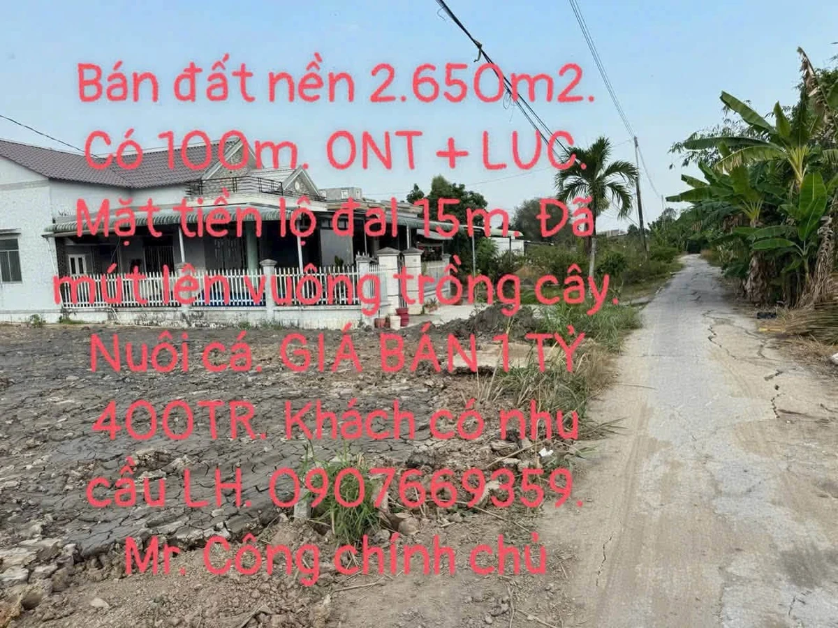 Bán đất thổ cư 100m2 kèm đất ruộng, mặt tiền lộ đal tại Thạnh Mỹ, Vĩnh Thạnh, Cần Thơ - Ảnh thu nhỏ 2