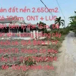 Bán đất thổ cư 100m2 kèm đất ruộng, mặt tiền lộ đal tại Thạnh Mỹ, Vĩnh Thạnh, Cần Thơ - Ảnh thu nhỏ 2