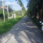 Bán đất 110m² tặng nhà cấp bốn Sơn Đông Bến Tre - Ảnh thu nhỏ 2