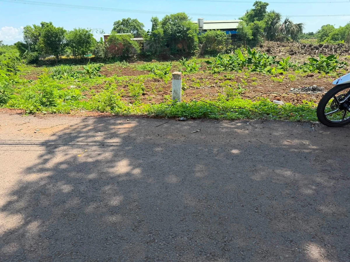 Bán đất Bàu Hàm 1600m² mặt tiền 25m Đồng Nai - Ảnh thu nhỏ 3