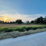 Bán lô đất nền 1000m2 ở Lâm Đồng giá 390 triệu - Ảnh thu nhỏ 1