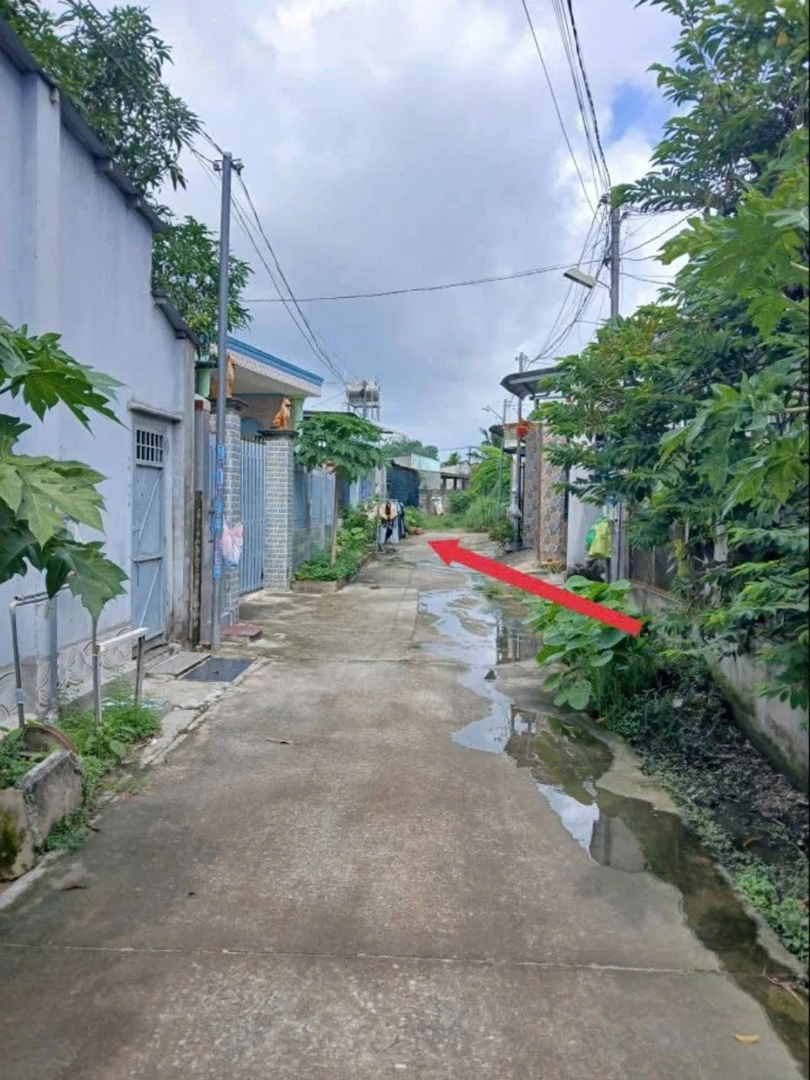 Bán đất Tân Triều Đồng Nai 110m² 1 tỷ 170 triệu - Ảnh thu nhỏ 2
