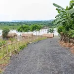Bán đất farm view sông Sêrêpôk 5000m2 tại Hòa Phú, Buôn Ma Thuột, Đắk Lắk - Ảnh thu nhỏ 2