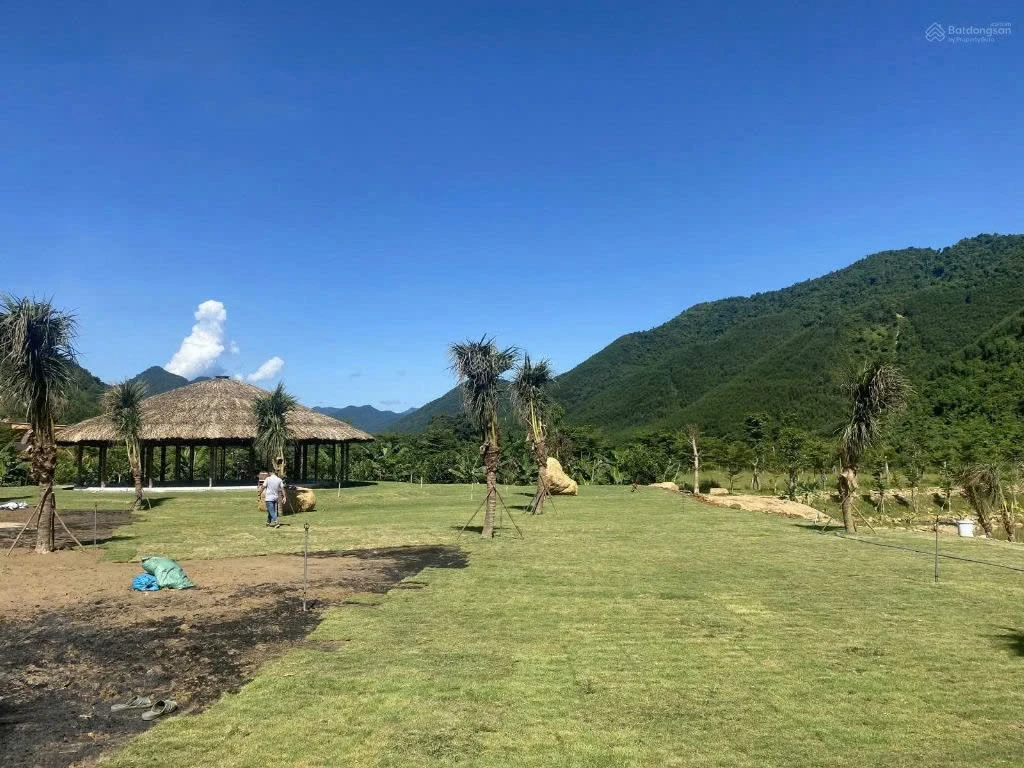 Bán đất 35.214m² Eco Farm Hoà Bắc Đà Nẵng 18 tỷ 300 - Ảnh 1