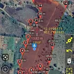 Bán đất 2 hectare tại Đắk Nông, giá 4.4 tỷ - Ảnh thu nhỏ 3