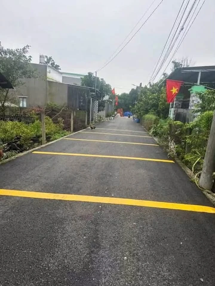Bán nhà Phú An Bình Dương 50m2, 2PN, cho thuê 1tỷ6 - Ảnh thu nhỏ 5